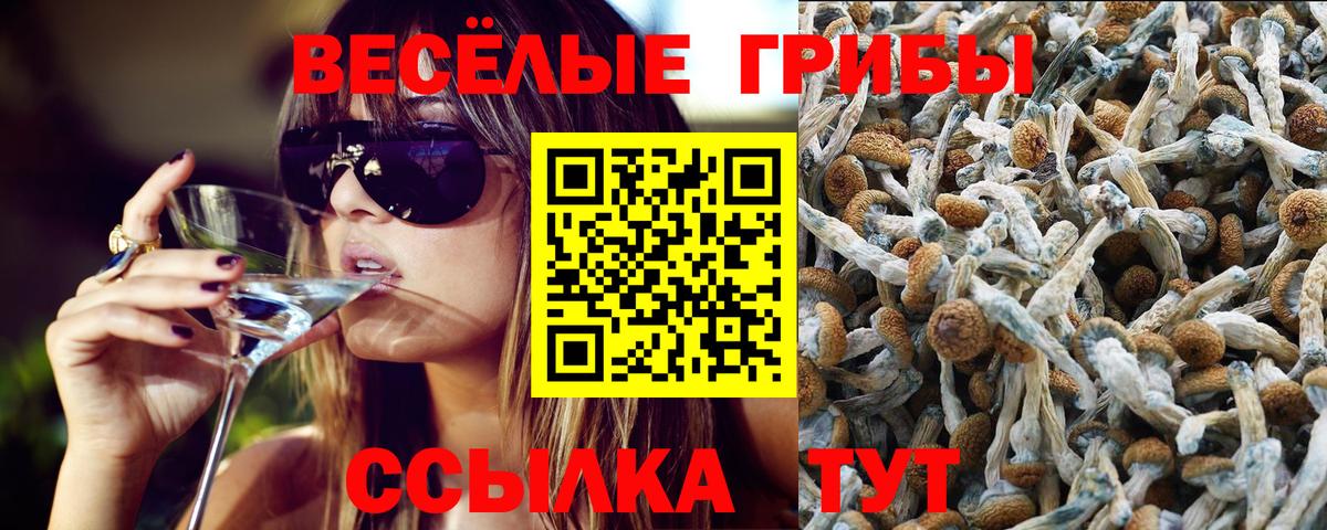 ГАШ Родники