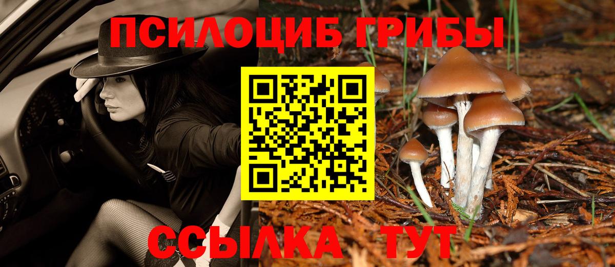 Галлюциногенные грибы Cubensis Родники